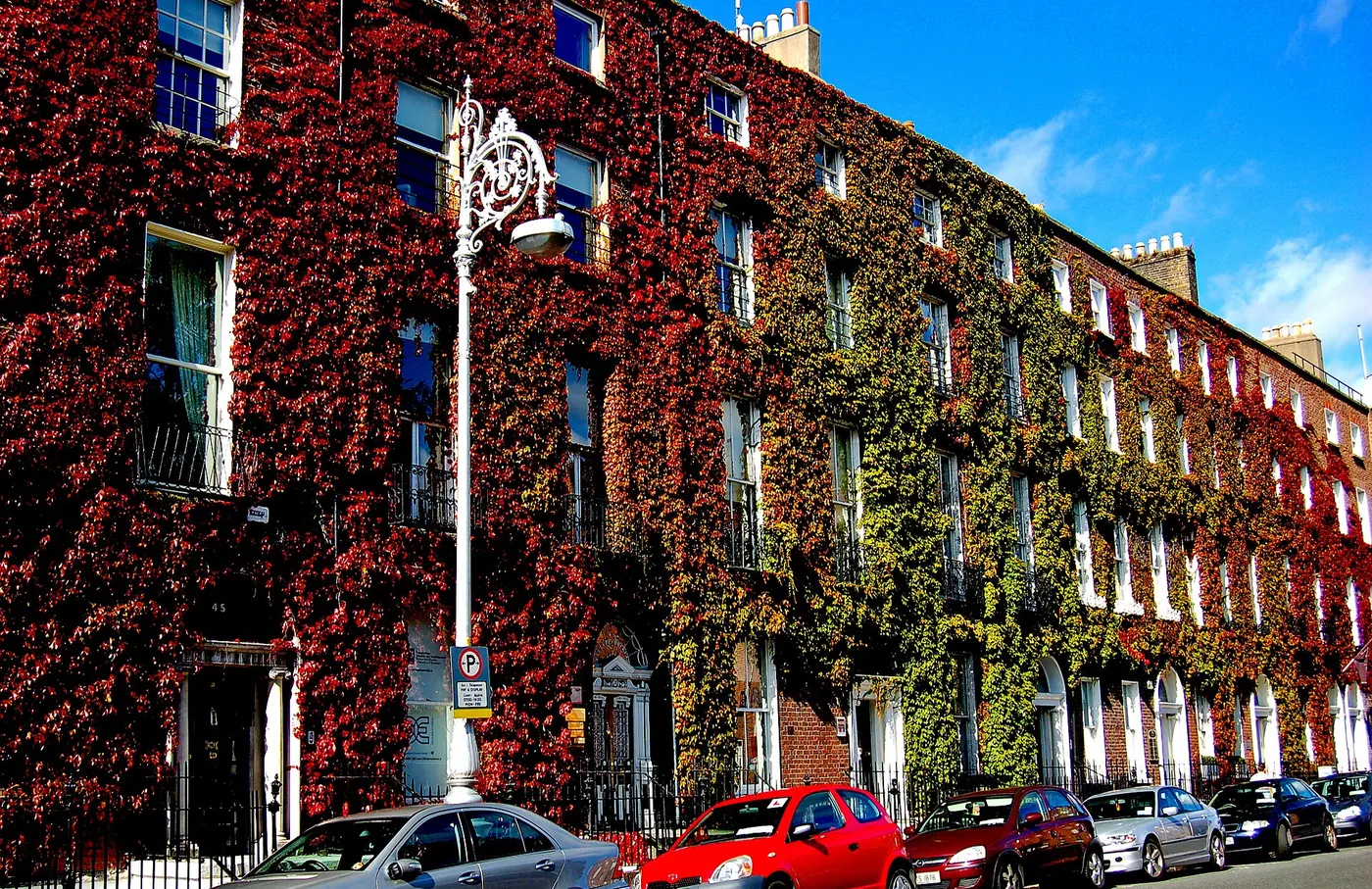 A terrace of Georgian brick townhouses covered in autumn ivy in Fitzwilliam Square, Dublin