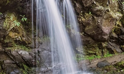 Grotto Falls (Trillium Gap Trail)