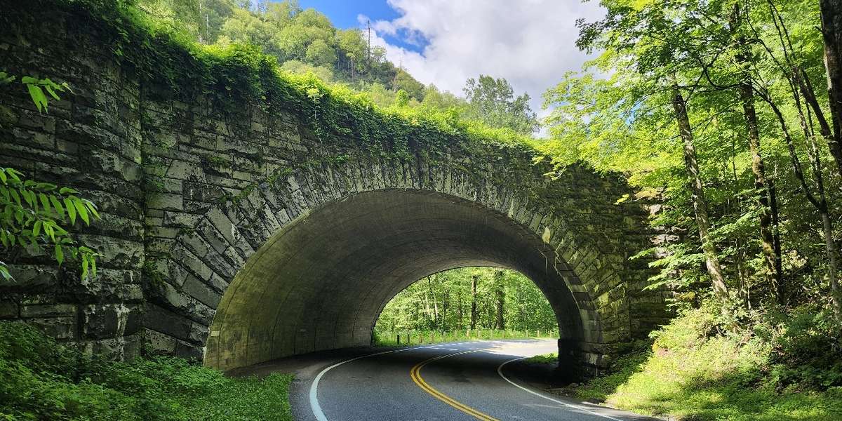 Newfound Gap Road