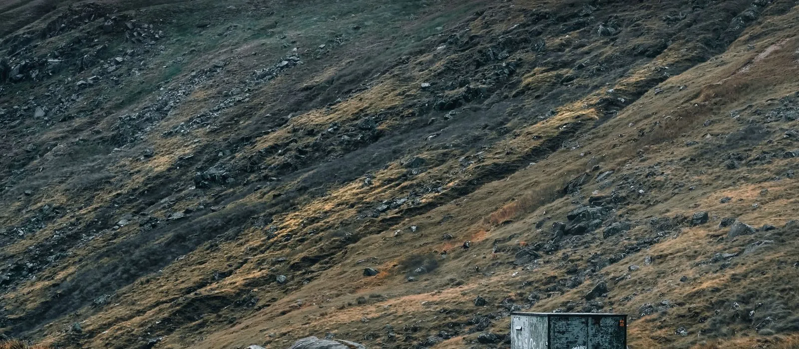 Open upland ground in the Wicklow mountains