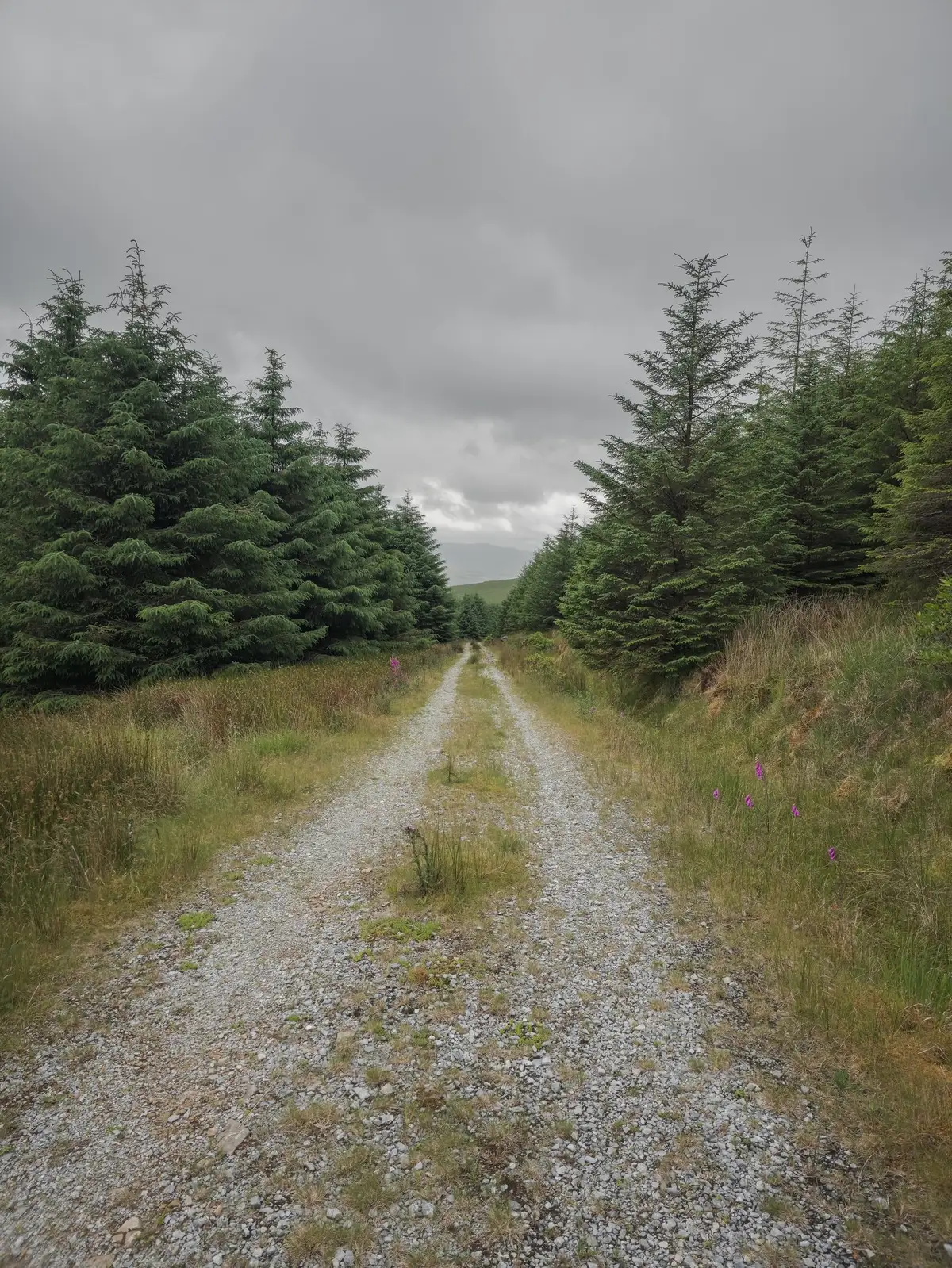 The Railway Walk, Tinahely