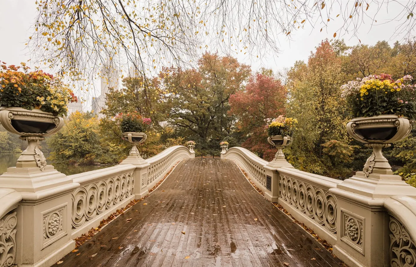 Bow Bridge over the Lake in Central Park